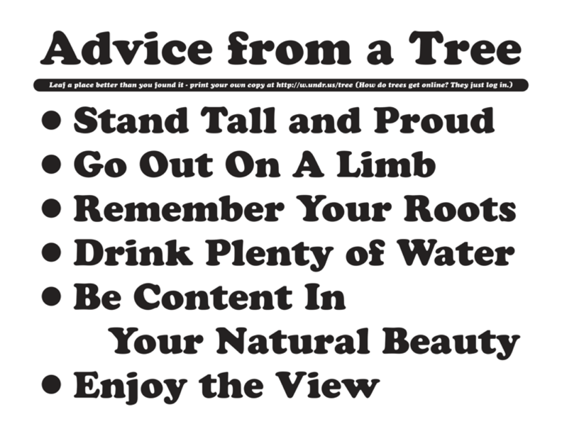 Advice from a Tree-Stand Tall and Proud-Go Out On A Limb-Remember Your Roots-Drink Plenty of Water-Be Content In Your Natural Beauty-Enjoy the View